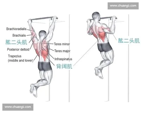 全面解析热门运动项目与健身技巧的实用指南推荐